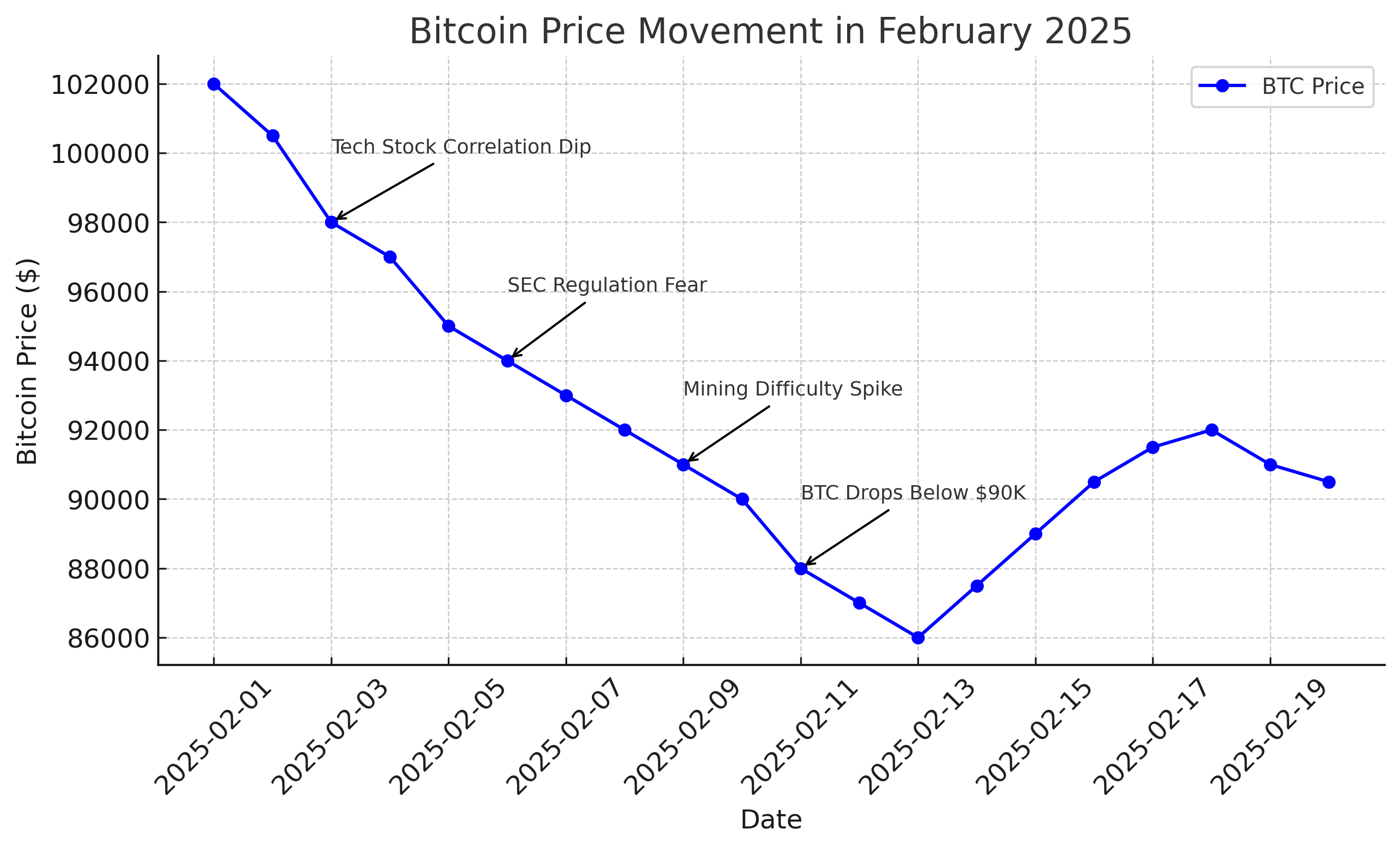 Bitcoin Price Chart - February 2025