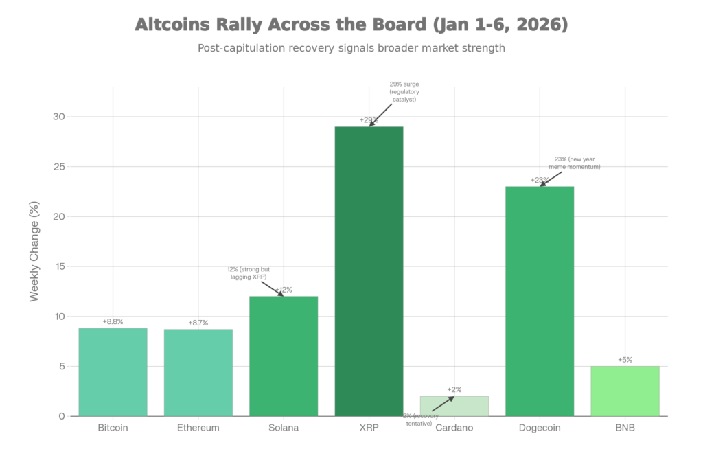 Altcoin Performance (XRP Leading, Selective Rotation)
