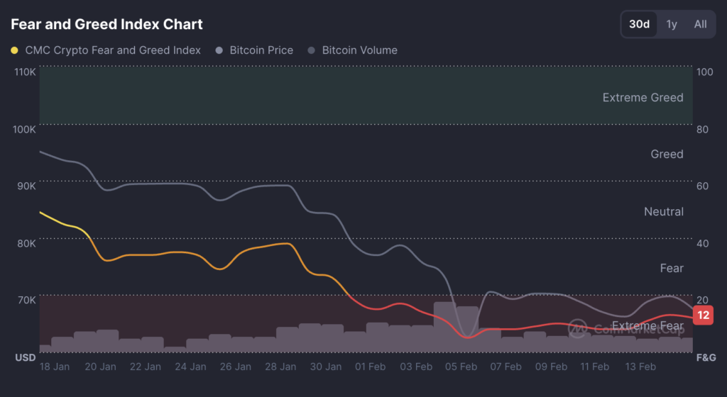 Crypto Fear & Greed Index